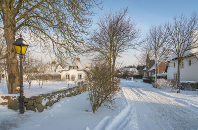 Bare trees by houses against sky during winter