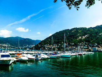 Sailboats moored in harbor