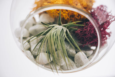 High angle view of vegetables in bowl on table