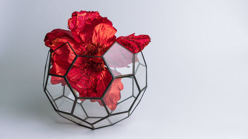 Close-up of red rose on white table