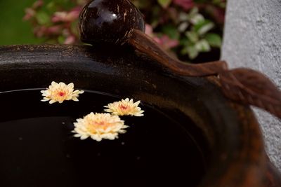 Close-up of flower statue