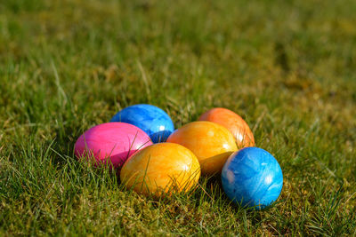 Eggs on field