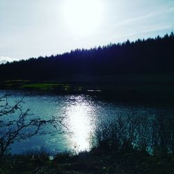 Reflection of trees in lake