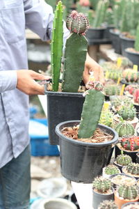 Midsection of man holding potted plant