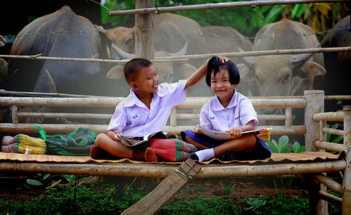 Siblings reading books while sitting on bench against buffaloes