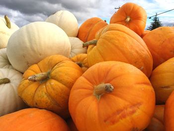 Close-up of pumpkins