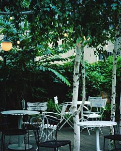 Chairs and table against trees