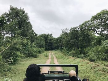 Man amidst trees against sky