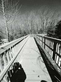 Footbridge amidst trees during winter