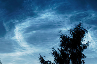 Low angle view of silhouette trees against blue sky