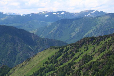 Beautiful mountain green ranges in altai in summer, top view