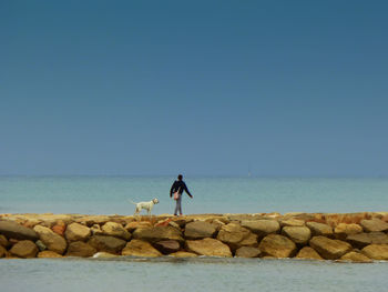 Mid distance view of man with dog walking on groyne against blue sky