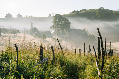 Scenic view of trees and v8llags on field against sky in a misty summer morning