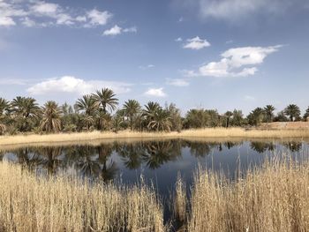 Scenic view of lake against sky but in desert its wonderful 