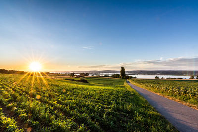 Scenic view of field against sky during sunset