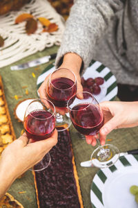 Women toasting wineglasses