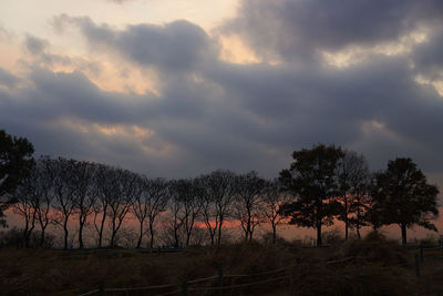 Bare trees on landscape against sky at sunset