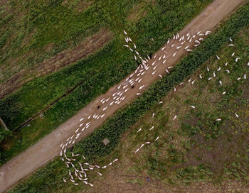 High angle view of landscape