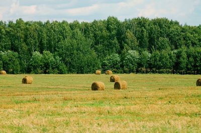 Hay bales on field against sky