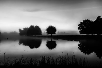 Reflection of trees in calm lake