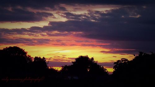 Silhouette of trees against dramatic sky