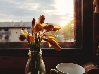 Close-up of flower vase on glass window