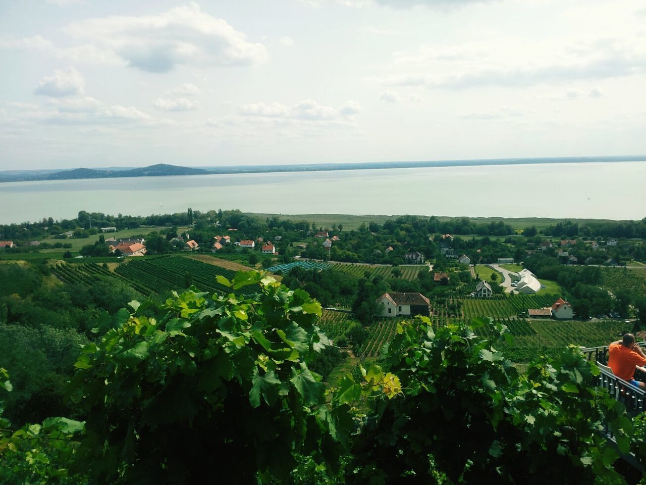 SCENIC VIEW OF AGRICULTURAL LANDSCAPE AGAINST SKY