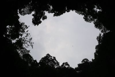 Low angle view of silhouette trees against sky