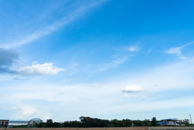 Trees and buildings against blue sky