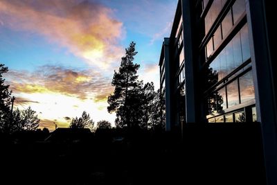 Low angle view of silhouette trees against sky