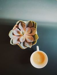 Directly above shot of coffee by potted plant on table