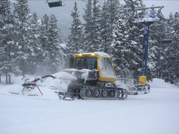 Snow covered land and trees during winter