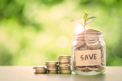 Close-up of coins and sapling in jar on table