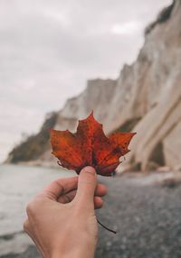 Close-up of hand holding maple leaf during autumn