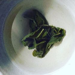 Directly above shot of vegetables in plate