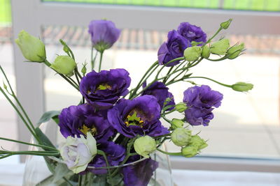 Close-up of purple roses in vase