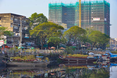 Trees and buildings in city