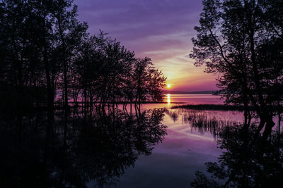 Silhouette trees by lake against sky during sunset