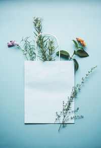 Directly above shot of potted plant on table