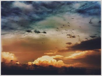 Silhouette of birds flying against dramatic sky