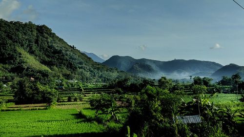 Scenic view of field against sky