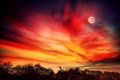 Scenic view of sky at night