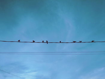 Low angle view of birds perching on cable against sky