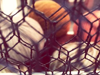 Close-up of chainlink fence