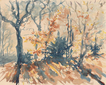 Trees in forest during autumn