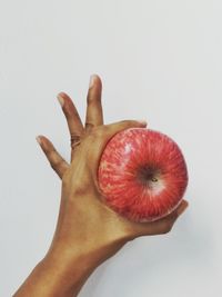 Close-up of hand holding apple against white background