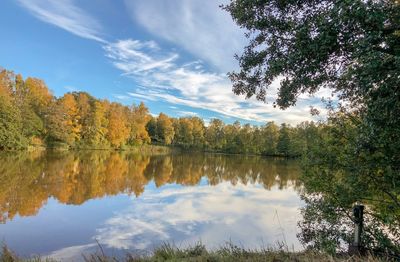 Reflection of trees in lake against sky