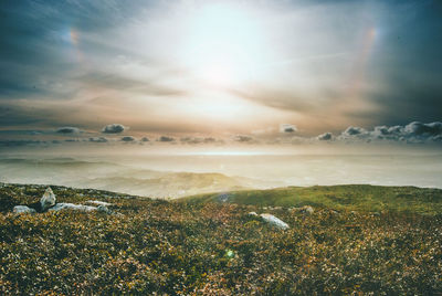 Scenic view of landscape against sky during sunset