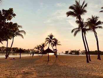 Silhouette palm trees on beach against sky during sunset
