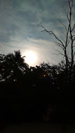 Silhouette trees against sky during sunset